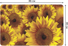 Комплект плейсматов «Подсолнухи» - Фото 1