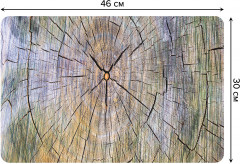 Комплект плейсматов «Срез дерева» - Фото 1