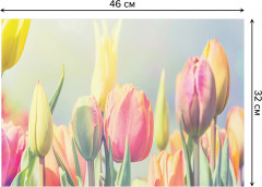 Комплект плейсматов «Весенние тюльпаны» - Фото 2