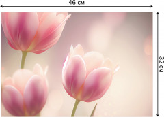 Комплект плейсматов «Нежность на рассвете» - Фото 2