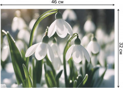 Комплект плейсматов «Подснежник в лесу» - Фото 2