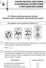 Биология. ЕГЭ-2026. Тематический тренинг - Фото 6