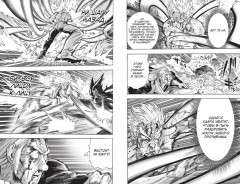 One-Punch Man. Книга 16. Чистилищная феноменальная пушка. Благословение - Фото 8