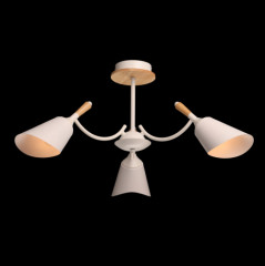 Светильник потолочный «Дэла» - Фото 1