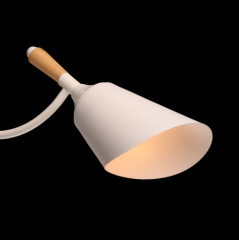 Светильник потолочный «Дэла» - Фото 3