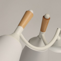 Светильник потолочный «Дэла» - Фото 4