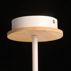 Светильник потолочный «Дэла» - Фото 8