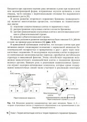 Диагностика и хирургическое лечение перитонеального канцероматоза - Фото 10