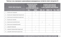 Справочник по эхокардиографии - Фото 11