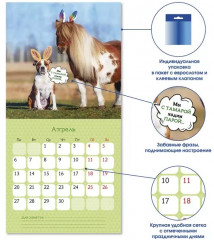 Календарь-органайзер на 2026 год «Ржачный год» - Фото 2