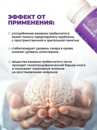 Ежовик гребенчатый в капсулах