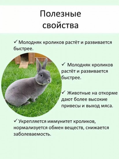 Добавка кормовая «Здравур для кроликов»