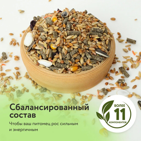 Корм сухой для крыс