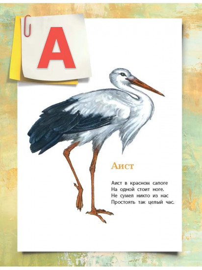 Азбука в картинках