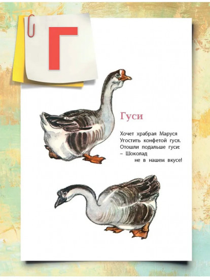 Азбука в картинках