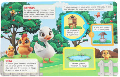 Книжка с окошками «Кто живёт на ферме» - Фото 5