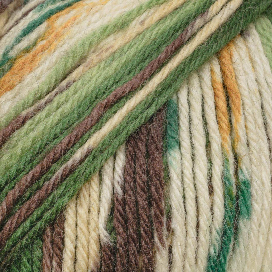 Пряжа для вязания «Wooltime», цвет 11021 секционный