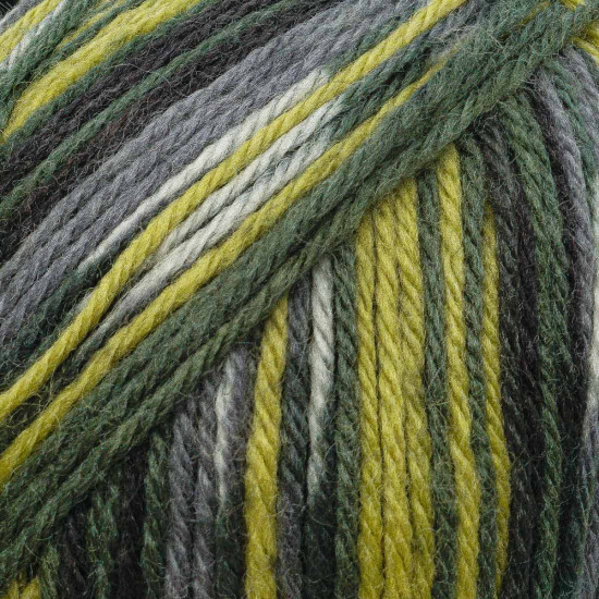 Пряжа для вязания «Wooltime», цвет 11019 секционный