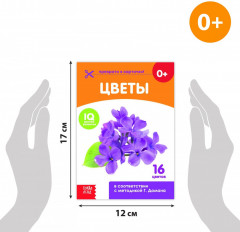 Карточки Домана. Окружающий мир. Набор книг - Фото 1