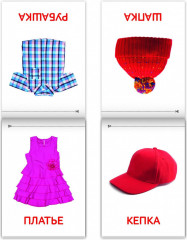 Карточки Домана. Окружающий мир. Набор книг - Фото 3