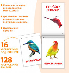 Карточки Домана. Окружающий мир. Набор книг - Фото 4