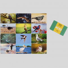 Игра настольная «Мемо. Птицы» - Фото 6