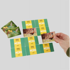 Игра настольная «Мемо. Птицы» - Фото 7