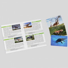 Игра настольная «Мемо. Динозавры» - Фото 4