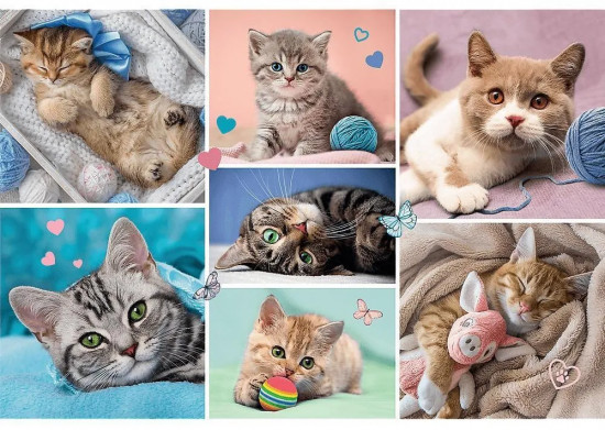 Пазл «Мир кошек»