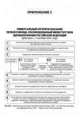 Охрана труда. Оказание первой помощи при жизнеугрожающих состояниях - Фото 12