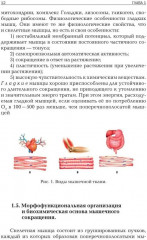Прикладная физиология мышечной активности в контексте профилактики, лечения и реабилитации - Фото 7