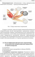 Прикладная физиология мышечной активности в контексте профилактики, лечения и реабилитации - Фото 8
