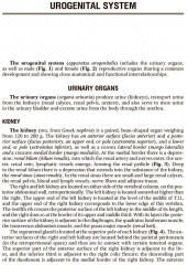 Human Anatomy. Textbook in 2 volumes. Volume 2 - Фото 4