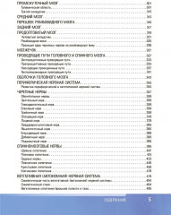 Анатомия человека. Атлас. Том 3 - Фото 3