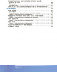 Анатомия человека. Атлас. Том 3 - Фото 4