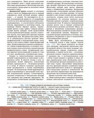 Анатомия человека. Атлас. Том 3 - Фото 9