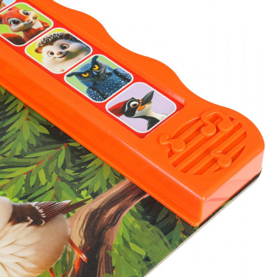 Книга музыкальная «Кто живёт в лесу?»