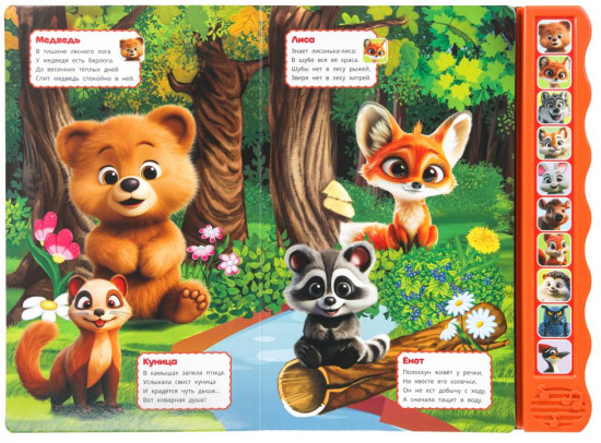 Книга музыкальная «Кто живёт в лесу?»