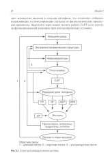 Гинекологическая эндокринология. Клинические лекции - Фото 6