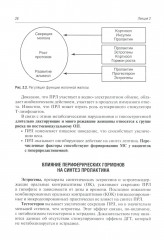Гинекологическая эндокринология. Клинические лекции - Фото 7