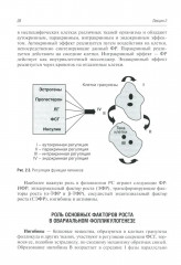 Гинекологическая эндокринология. Клинические лекции - Фото 8