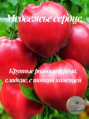 Набор коллекционных томатов «Четыре розовых гиганта» - Фото 2