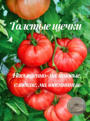 Набор коллекционных томатов «Четыре розовых гиганта» - Фото 3
