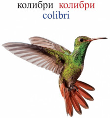 Жануарлар. Животные. Джунгли - Фото 2