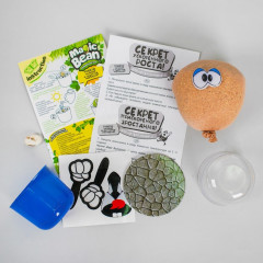 Набор для выращивания «Волшебный боб Yes» - Фото 2