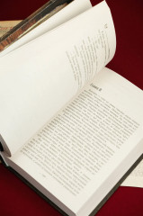 Компания «Охотники на монстров» - Фото 9