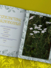 Шаманское травничество. Сила растений. Рецепты наших предков - Фото 10