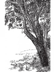 Бабушка, я скоро приеду - Фото 8