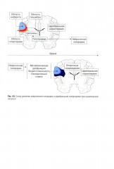 Хронические нарушения сознания: нейрореабилитация - Фото 11