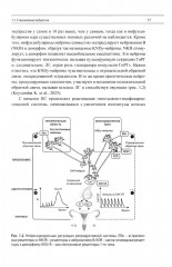 Эндокринная гинекология: избранные семинары - Фото 10